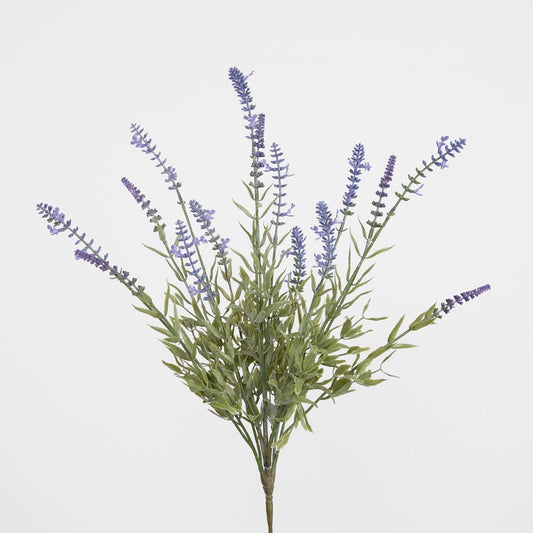 Lavender Bush Light Purple