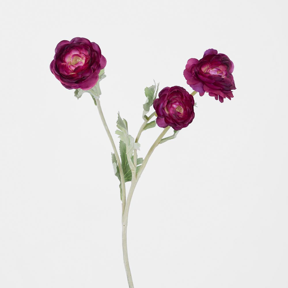 Ranunculus Stem With 3 Heads Magenta – Florabelle Living