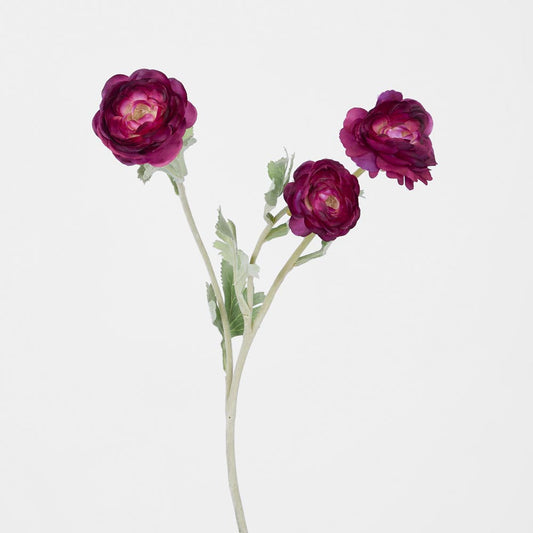 Ranunculus Stem With 3 Heads Magenta