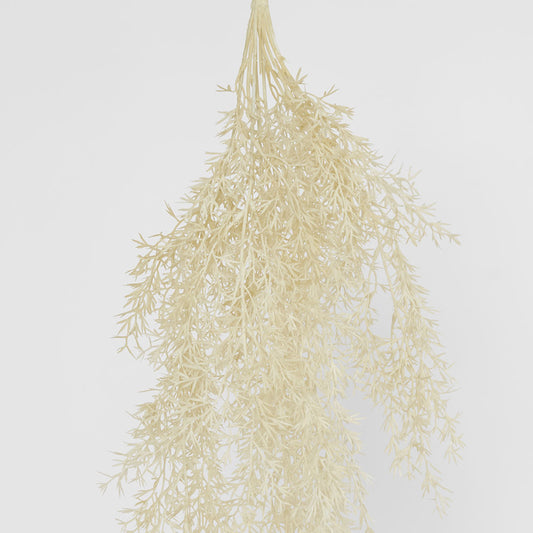 Floating Fern Bush Cream