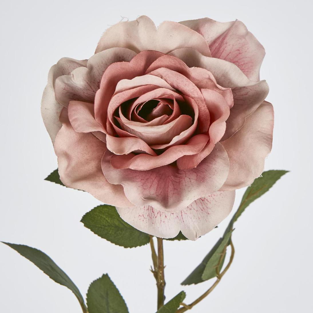 Rose Stem Dusty Pink