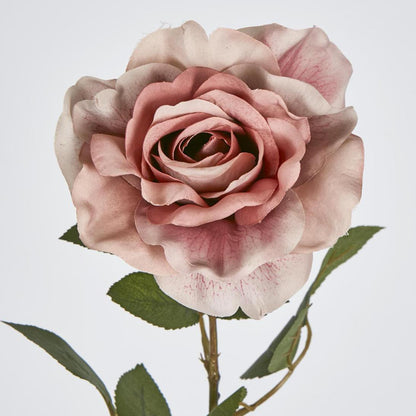 Rose Stem Dusty Pink