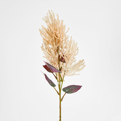 Smoke Bush Beige