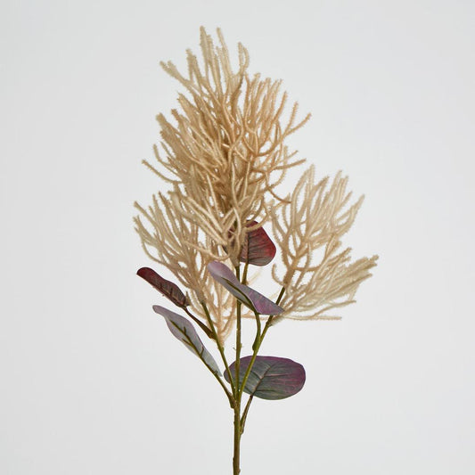 Smoke Bush Beige