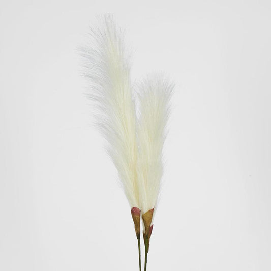 Pampas Grass Spray 3 Stems Cream