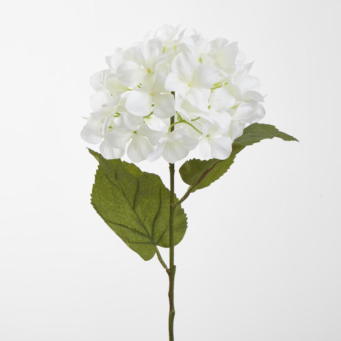 Domed Hydrangea 68cm White
