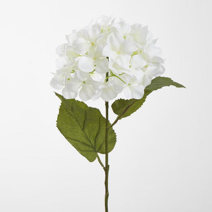 Domed Hydrangea 68cm White