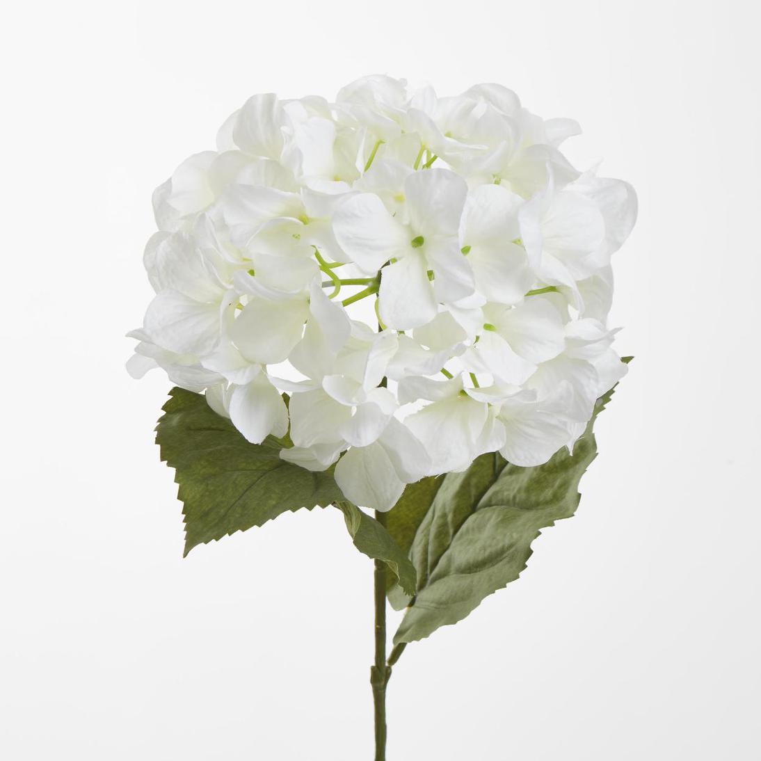 Domed Hydrangea 68cm White