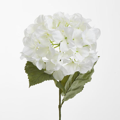 Domed Hydrangea 68cm White