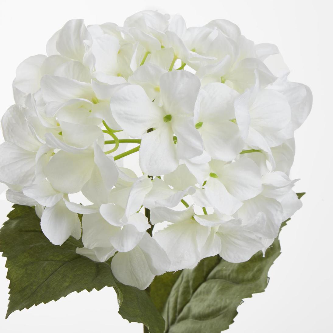 Domed Hydrangea 68cm White