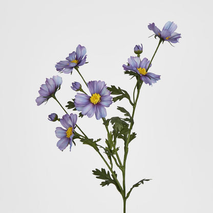 Cosmos Spray 85cm Light Purple