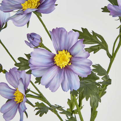 Cosmos Spray 85cm Light Purple