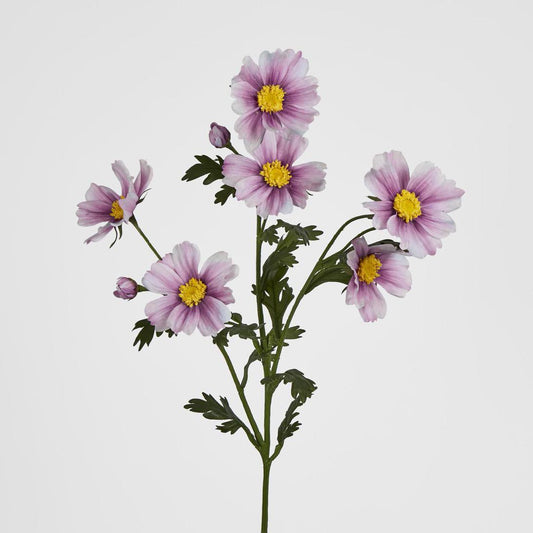 Cosmos Spray 85cm Pink