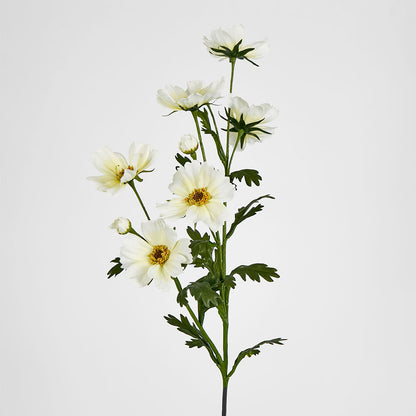 Cosmos Spray 85cm White