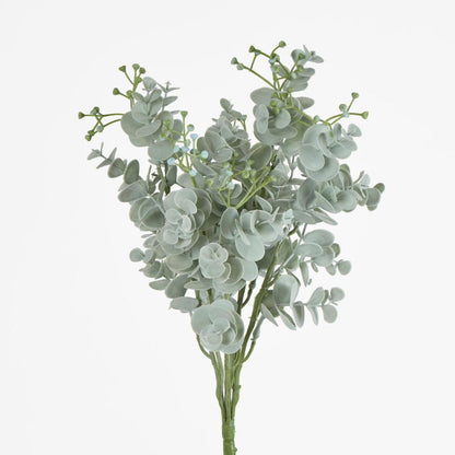 Euonymus Japonicus Bush Grey Green