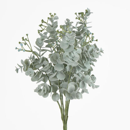 Euonymus Japonicus Bush Grey Green