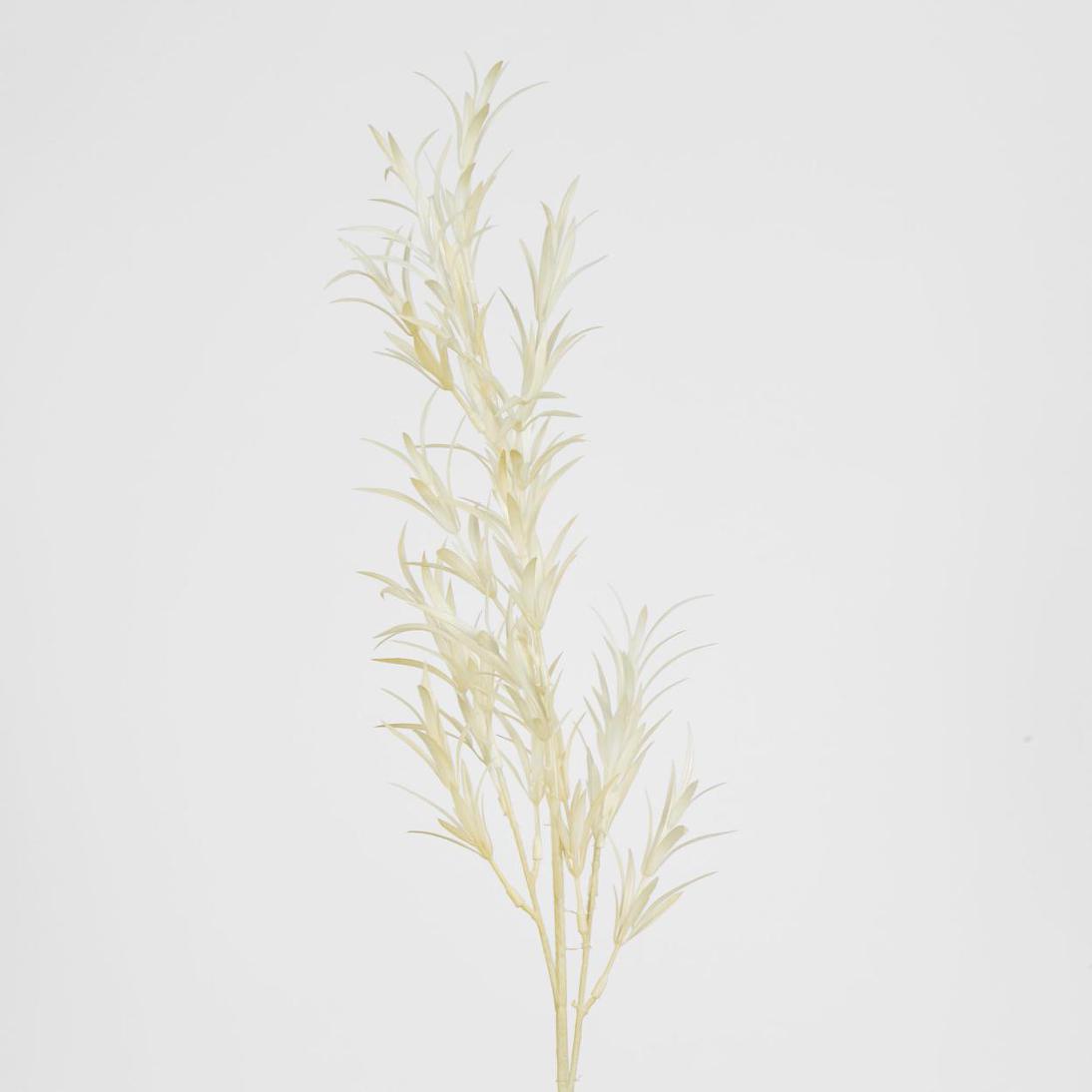 Podocarpus Grass Spray Beige