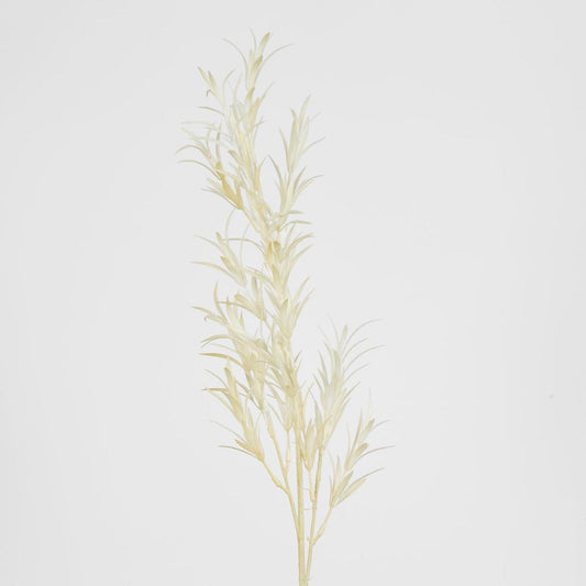 Podocarpus Grass Spray Beige
