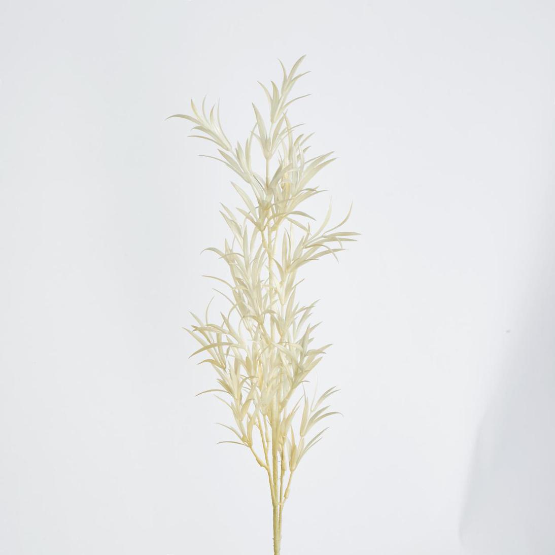 Podocarpus Grass Spray Beige