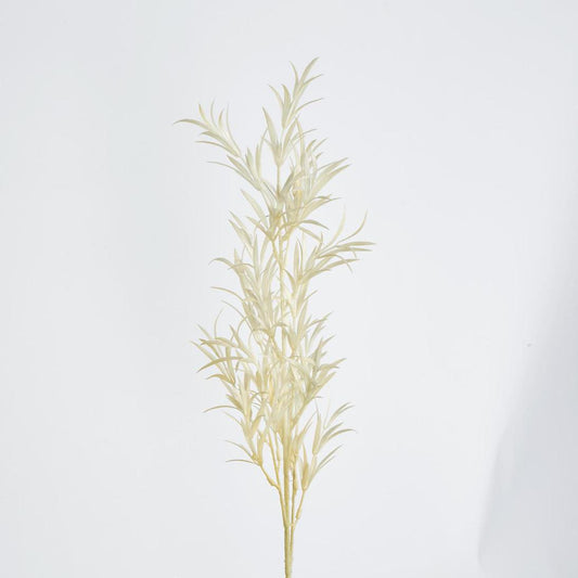 Podocarpus Grass Spray Beige