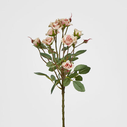Rose Spray x 10 Heads Peach