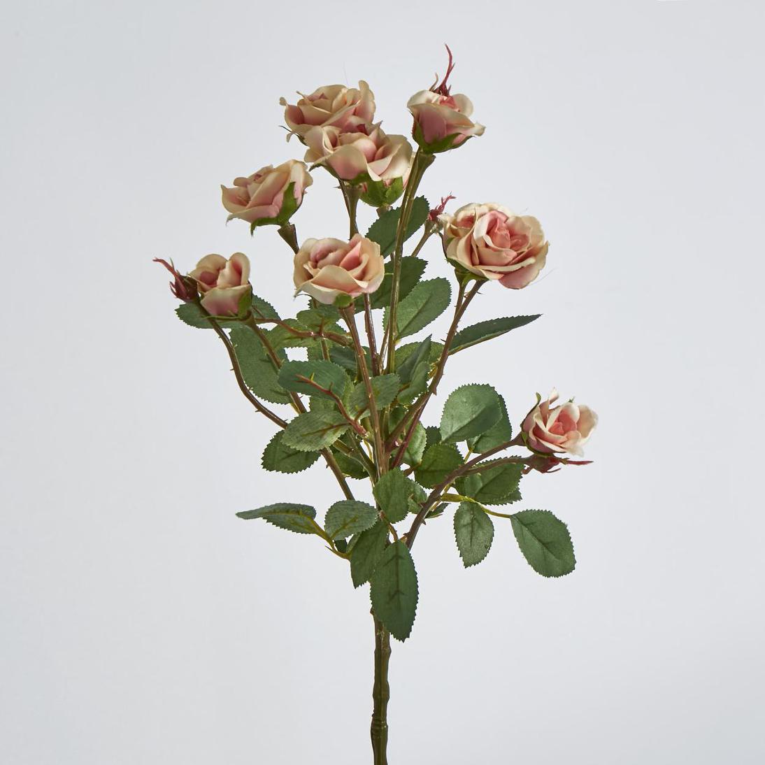 Rose Spray x 10 Heads Peach