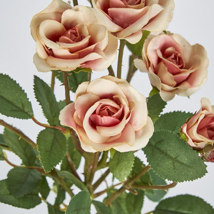 Rose Spray x 10 Heads Peach