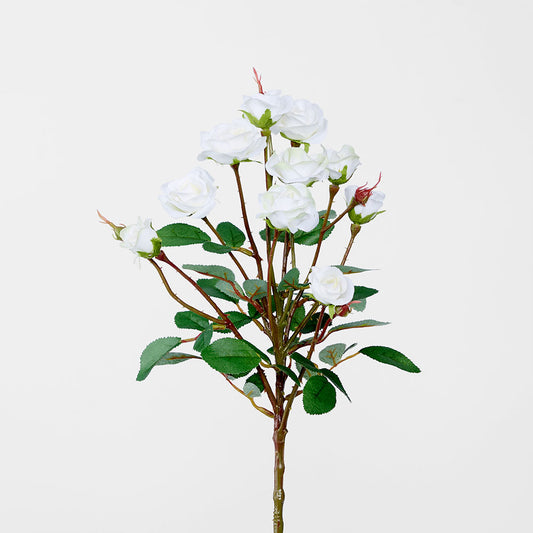 Rose Spray x 10 Heads White