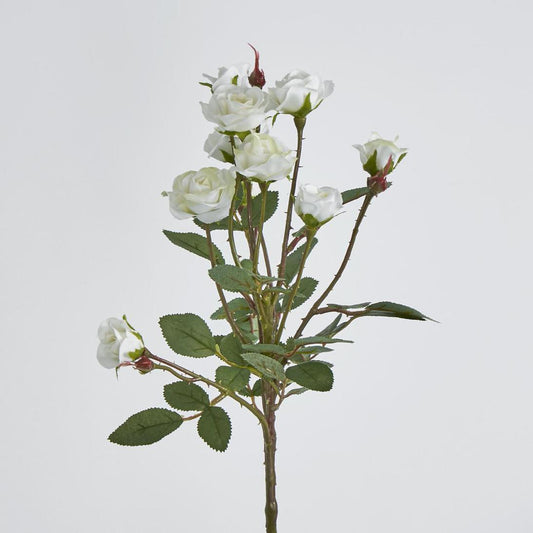 Rose Spray x 10 Heads White