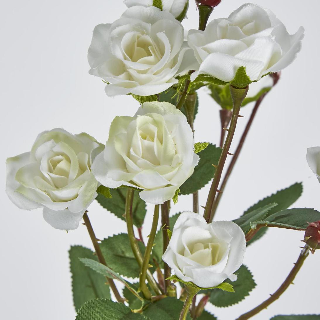 Rose Spray x 10 Heads White