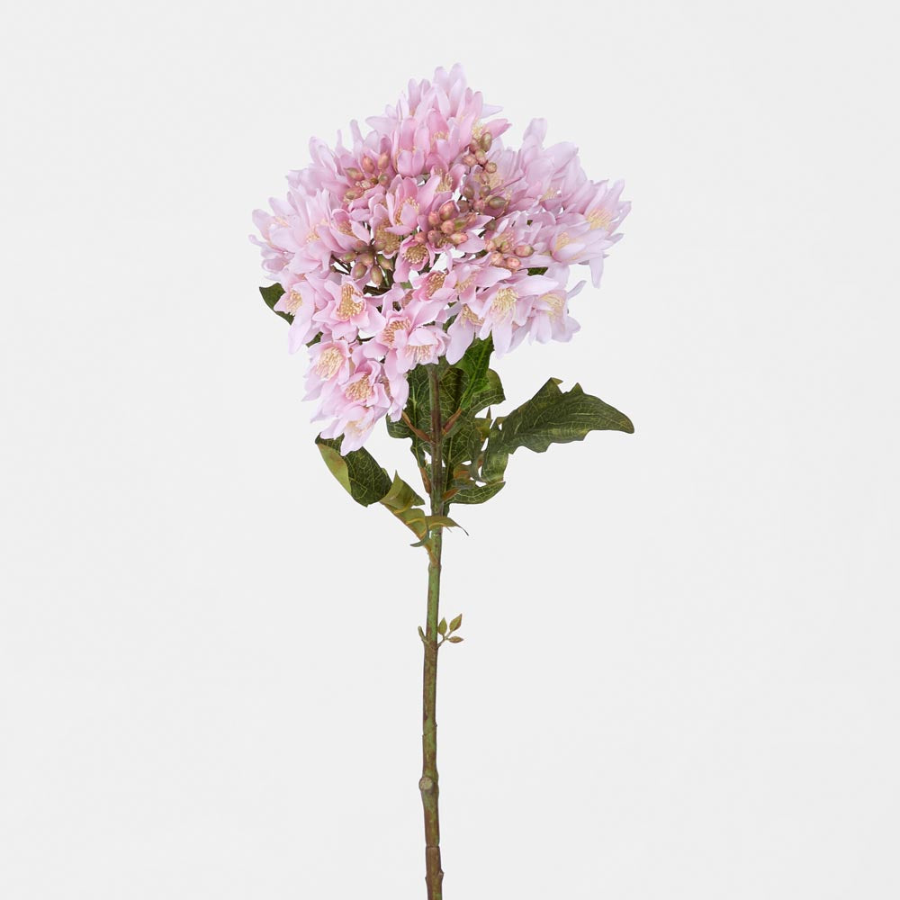 Agapanthus Stem Lilac
