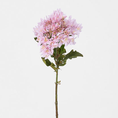 Agapanthus Stem Lilac