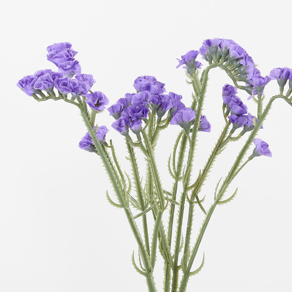 Statice Bunch