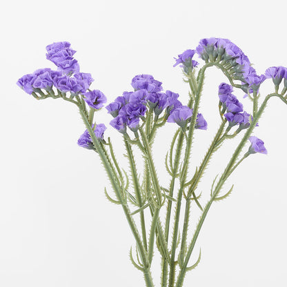 Statice Bunch