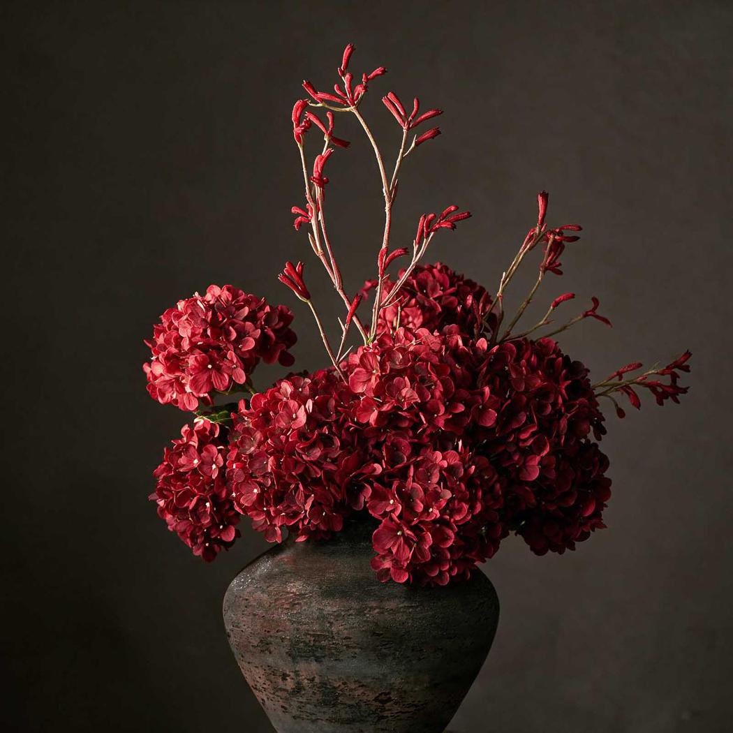 Kangaroo Paw Spray Red 102cm