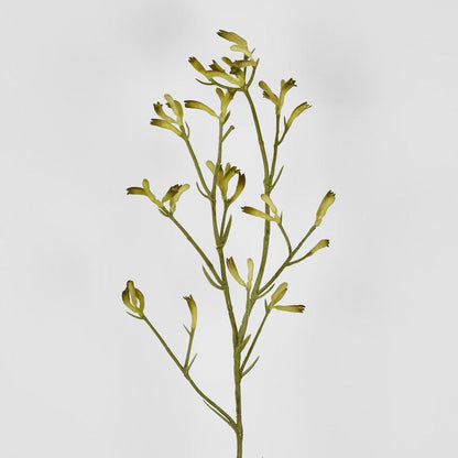 Kangaroo Paw Spray Yellow 102cm