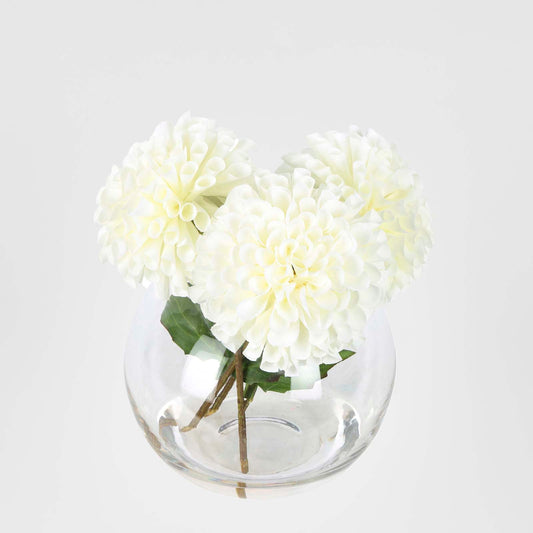 White Dahlia Delight Arrangement