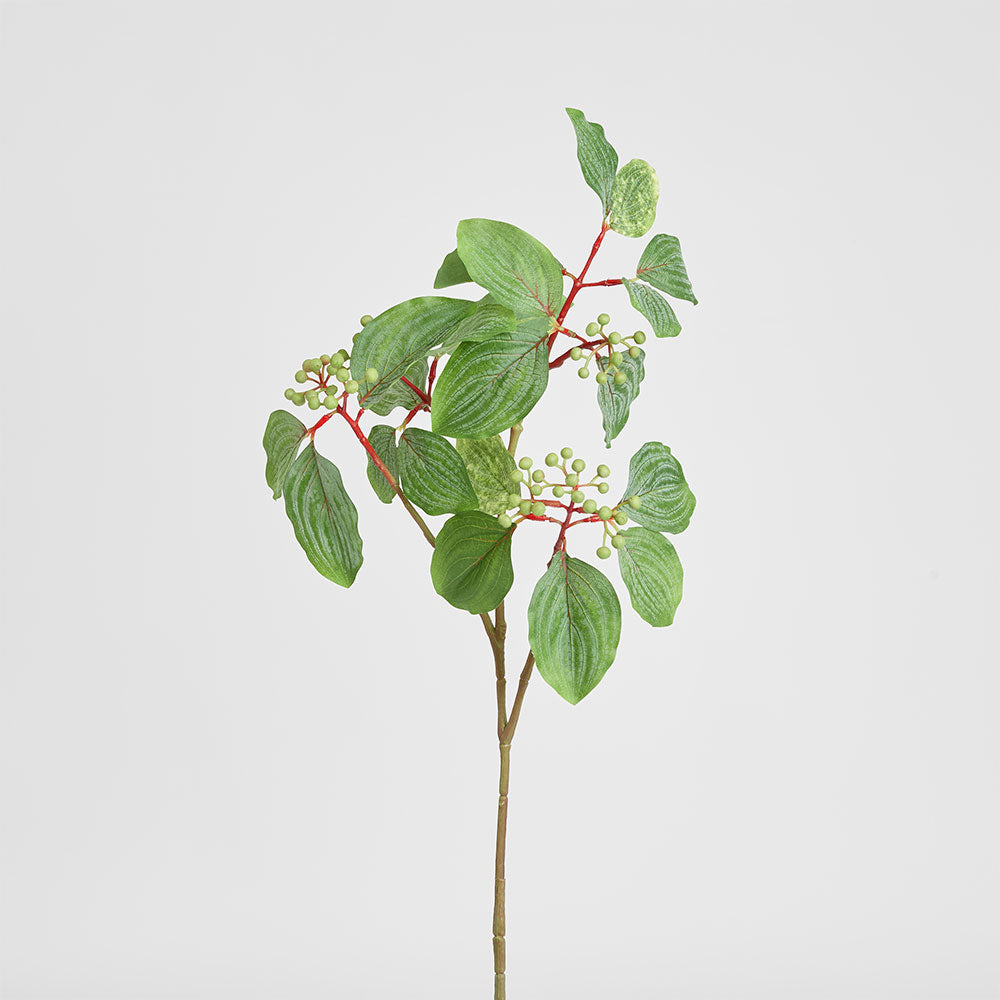 Leaf Seed Spray 80cm Green