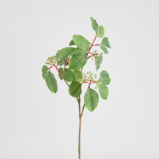 Leaf Seed Spray 80cm Green