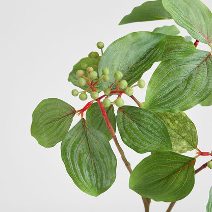 Leaf Seed Spray 80cm Green