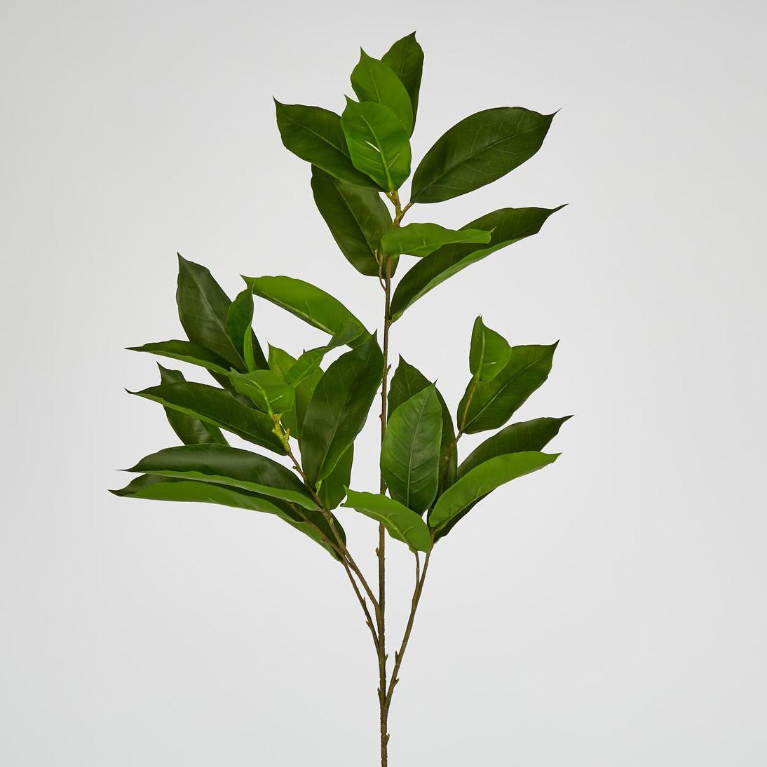 Glossy flat leaf Spray 100cm