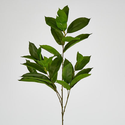 Glossy flat leaf Spray 100cm
