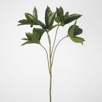 Frangipani Leaf Spray 84cm