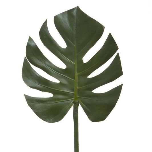 Split-Leaf Philodendron Stem 75cm Green