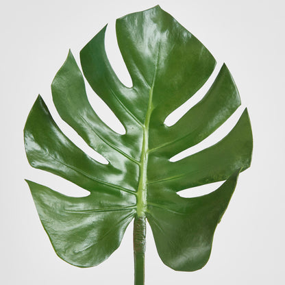 Split-Leaf Philodendron Stem 75cm Green
