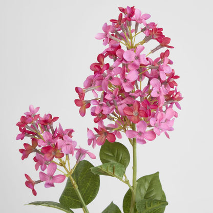 Lilac Spray 72cm Pink