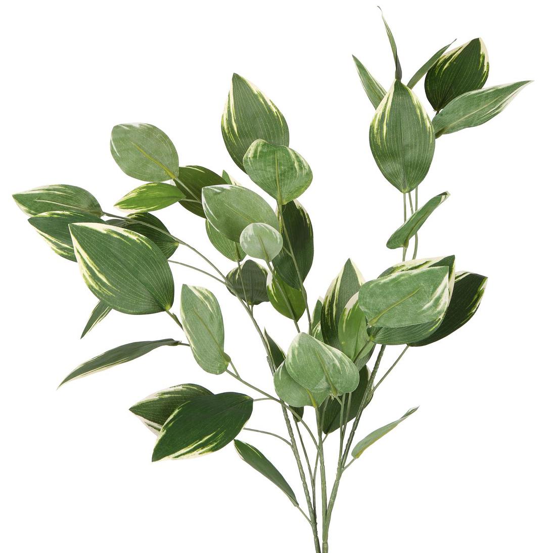 Variegated Leaf Spray 120cm