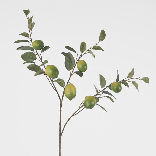 Lime Branch Spray x 6 Limes with Leaves