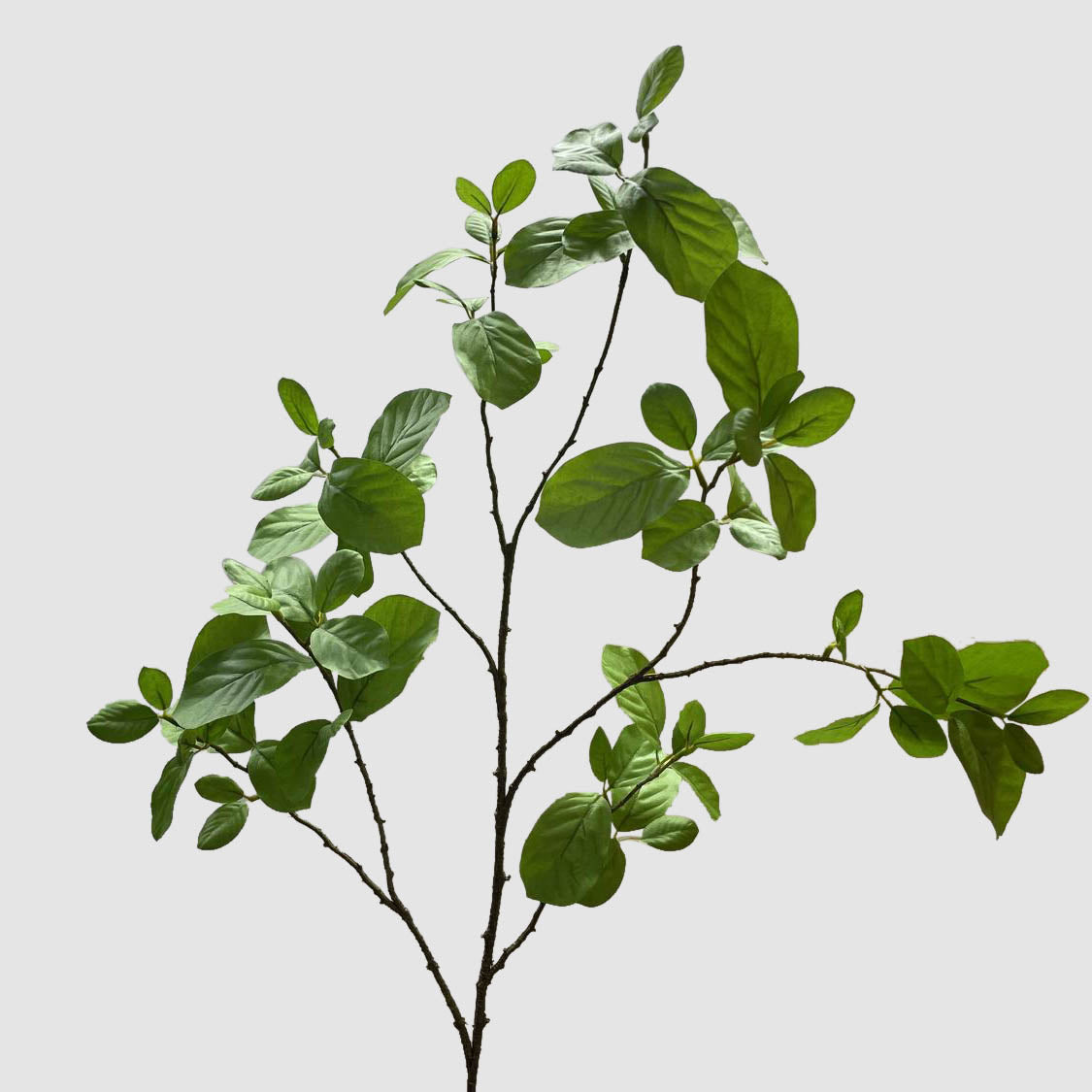 Leaf Green 117cm