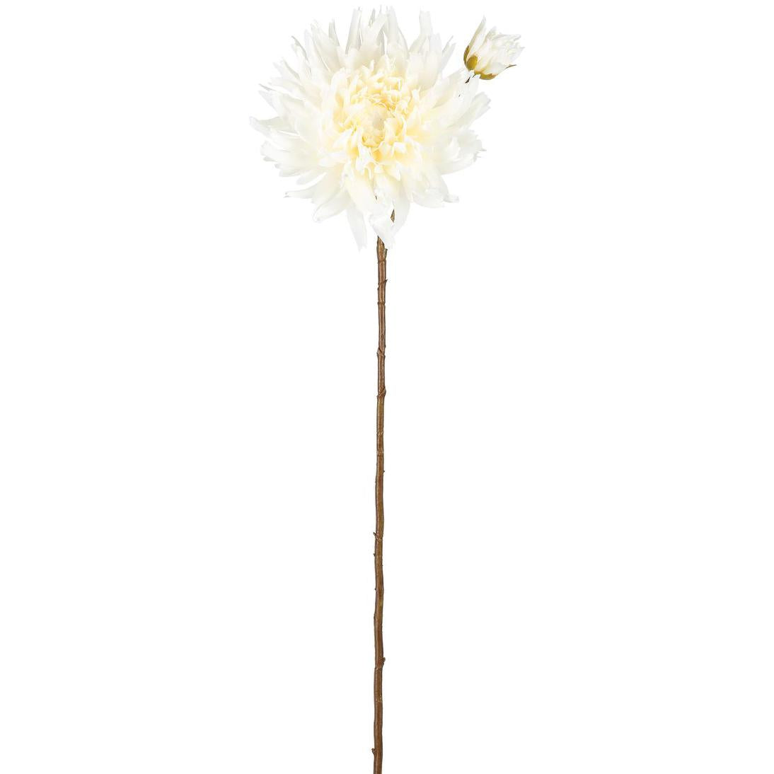 Mum Spray 78cm Cream
